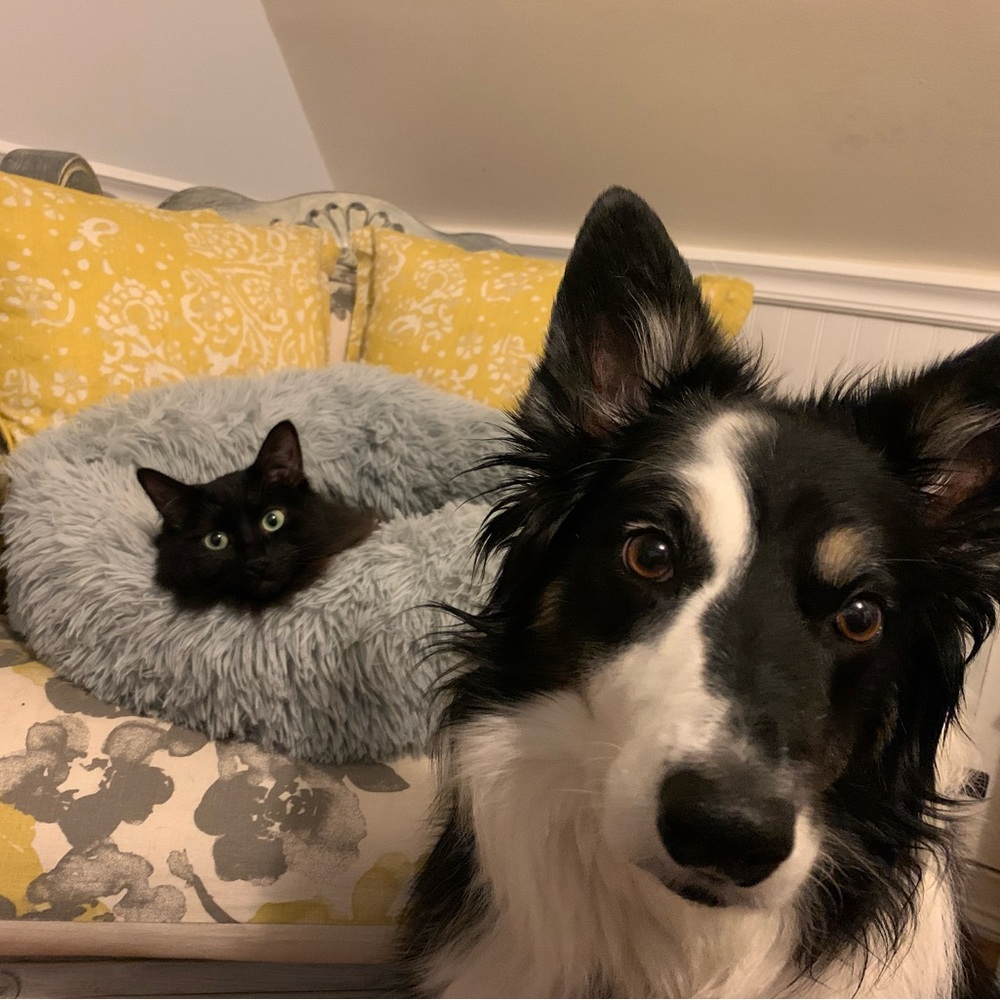 Meet your Posher, Renee